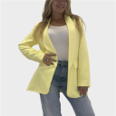 blazer con manica regolare bis